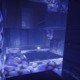 Destiny 2'nin Son Şekli Görevlerine ve "Birleştirilmiş" Dünyasına Yeni Bir Derinlik Getiriyor 28 Gallery image 8