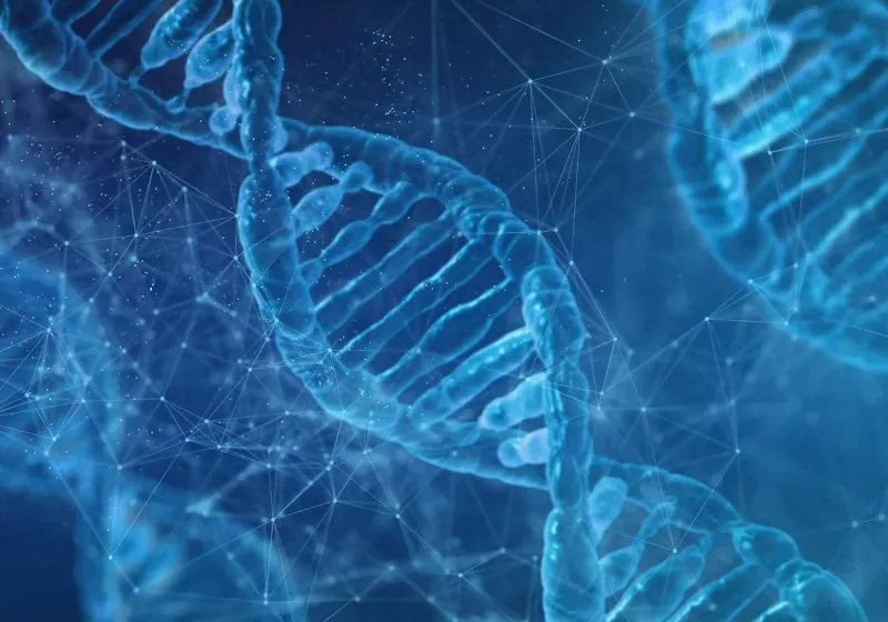 Araştırmacılar üç yıl içinde DNA tabanlı bir depolama sistemi geliştirmek istiyor 13 arastirmacilar uc yil icinde dna tabanli bir depolama sistemi gelistirmek istiyor ZgT6fTlz