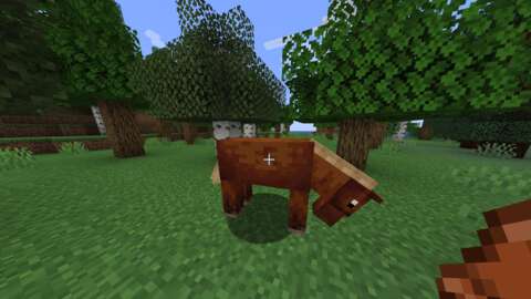 Minecraft'ta Atlar Nasıl Evcilleştirilir 28 minecraftta atlar nasil evcillestirilir NROcil5c
