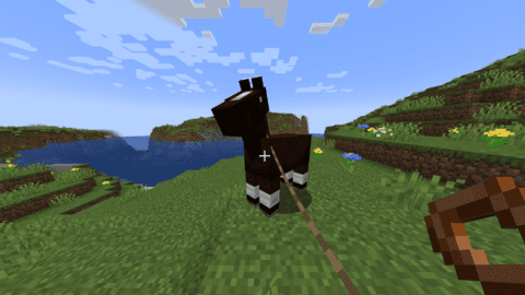 Minecraft'ta Nasıl Bir Liderlik Yapılır 16 minecraftta nasil bir liderlik yapilir yaErf8A7