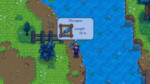 Stardew Valley: Mersin Balığı Nasıl Yakalanır 39 stardew valley mersin baligi nasil yakalanir PhBuEnXN