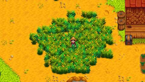 Stardew Valley'de Saman Nasıl Elde Edilir 3 stardew valleyde saman nasil elde edilir CPl9QNba