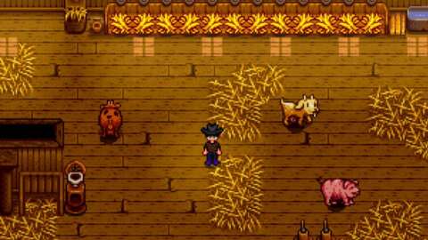 Stardew Valley'deki Her Ahır Yükseltmesi 14 stardew valleydeki her ahir yukseltmesi HzB7v2fn