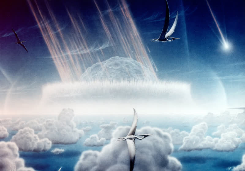 Bilim insanları dinozorları öldüren asteroit çarpması hakkında daha fazla bilgi ediniyor 22 bilim insanlari dinozorlari olduren asteroit carpmasi hakkinda daha fazla bilgi ediniyor sNIAR4yw