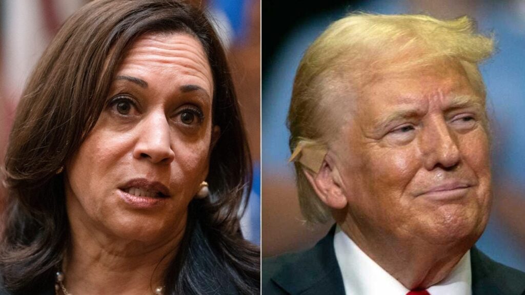 Coinshares, 2024 Seçimleri Öncesinde Trump ve Harris'in Bitcoin Üzerindeki Etkisini Tartıyor 40 coinshares 2024 secimleri oncesinde trump ve harrisin bitcoin uzerindeki etkisini tartiyor 2hYmeCvR