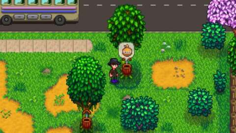 Stardew Valley'de Akçaağaç Şurubu Nasıl Elde Edilir 26 stardew valleyde akcaagac surubu nasil elde edilir OO8YD4si